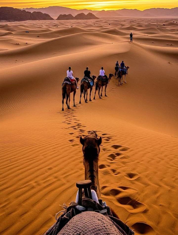 Sahara Desert