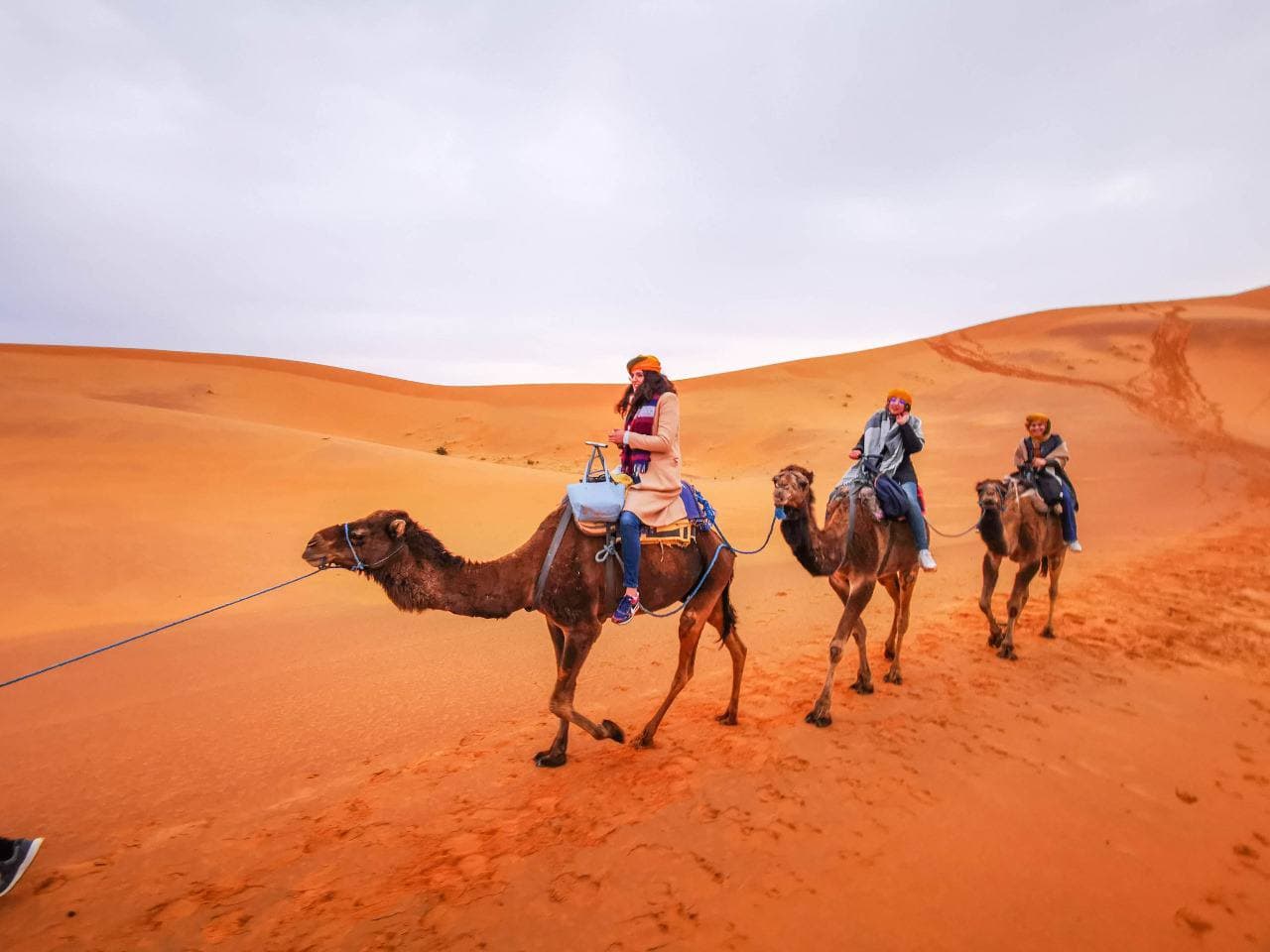 From Casablanca: 10-Day Morocco Highlights & Desert Tour tour in Morocco